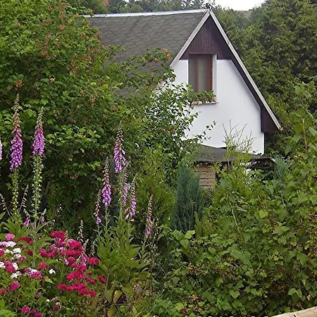 Apartment On The Meadow Path Altendorf (Sebnitz)